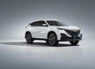 Dongfeng Mage