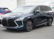 Dongfeng U-Tour